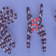 Estructura molecular de la nueva forma descubierta en la Universidad Yanshan. Foto: Timothy Strobel